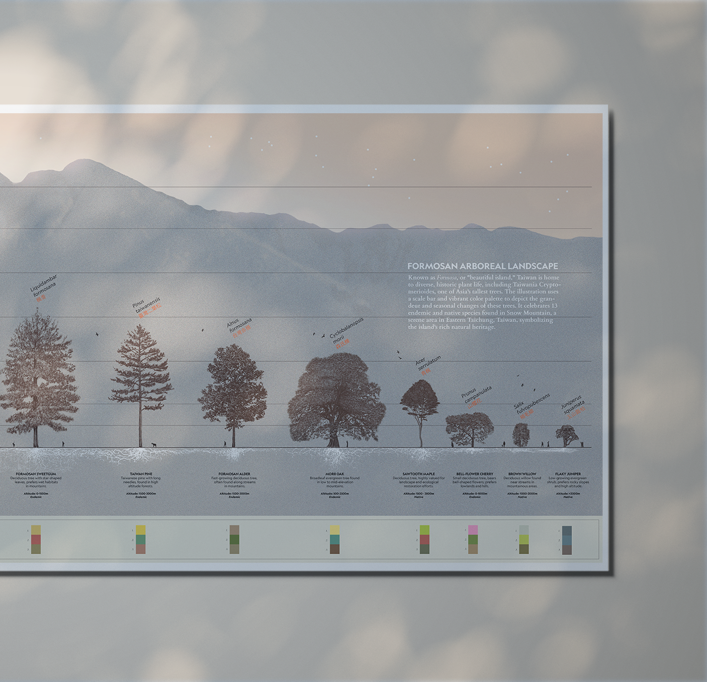Description of image 2
