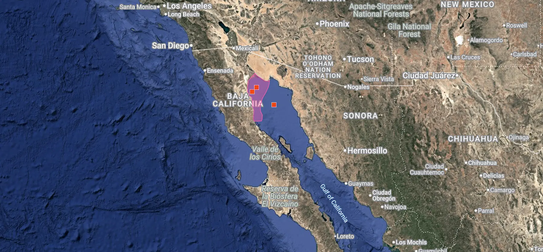Distribution map of the vaquita marina (Phocoena sinus) in the Upper Gulf of California, Mexico, based on iNaturalist observations.