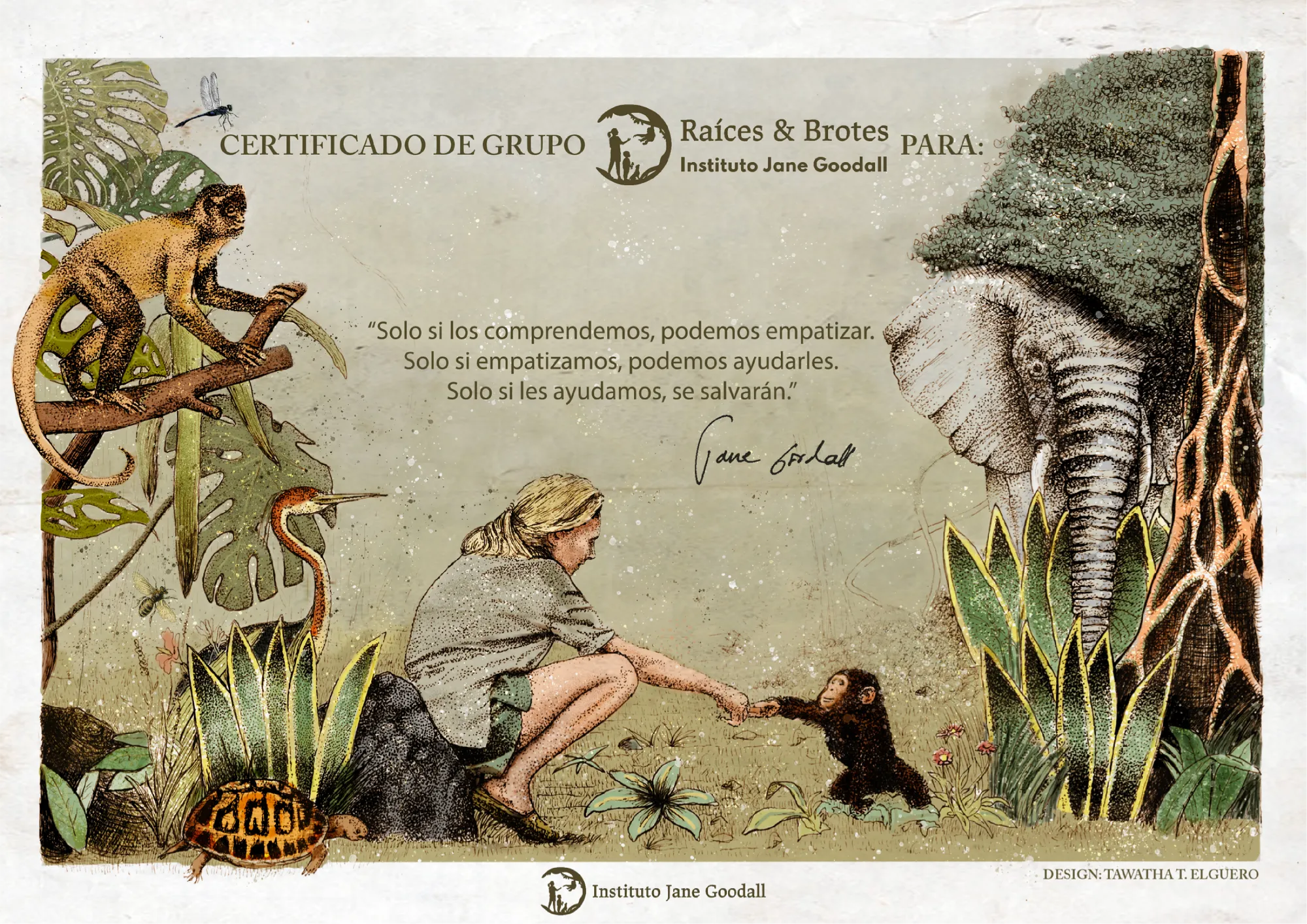 Certificate design for Jane Goodall’s Roots & Shoots featuring Jane Goodall, a young chimpanzee, tropical plants, a monkey, a turtle, and an elephant.