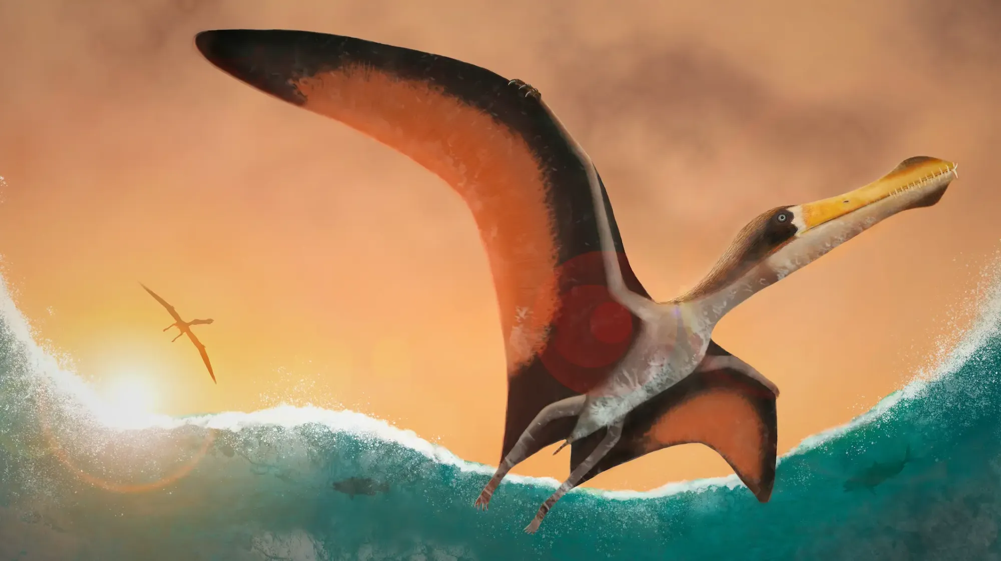 Ananguera piscator final digital rendering. Tawatha T. Elguero.