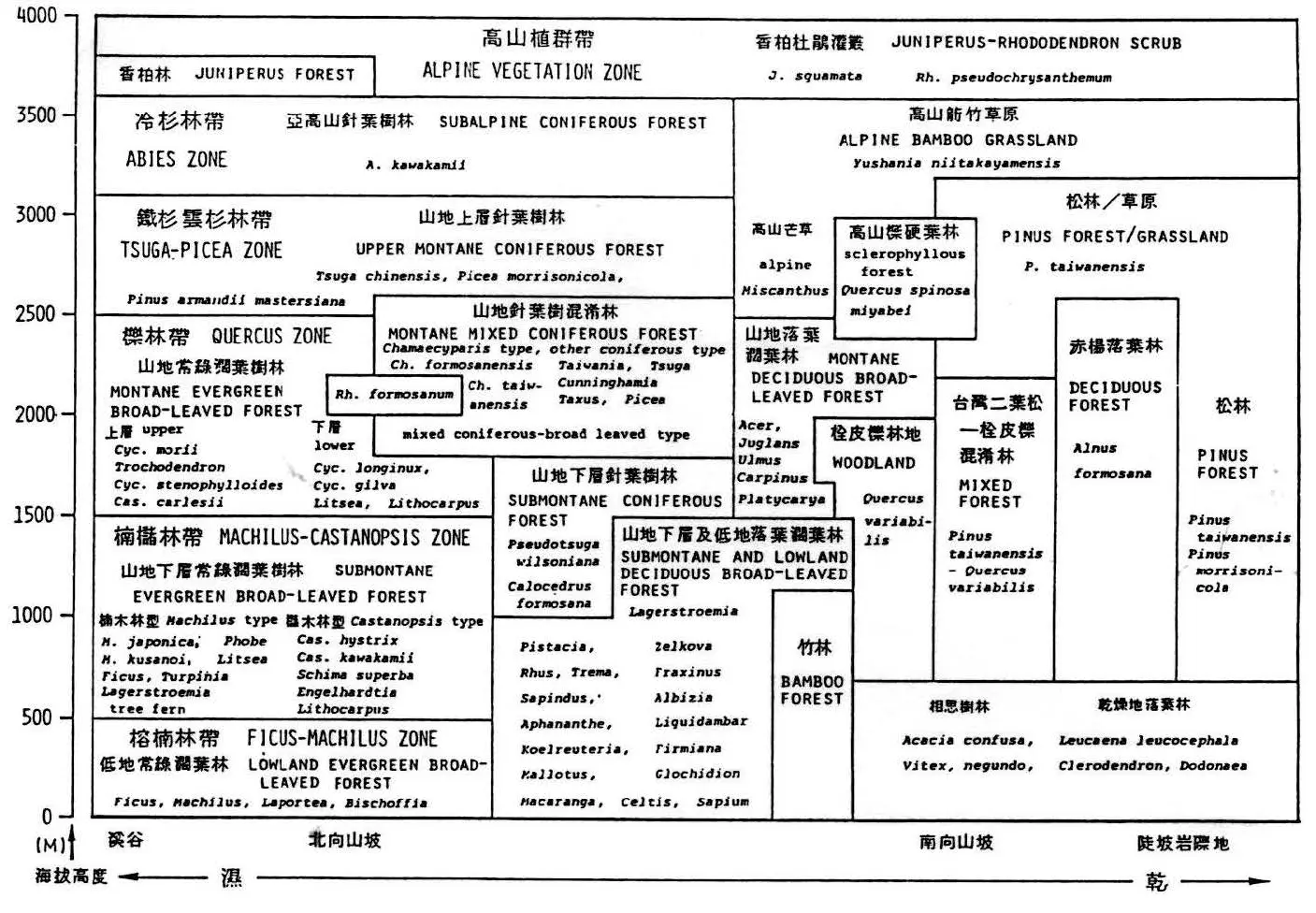 This diagram illustrates the elevation zones of vegetation in the mountains of central Taiwan. 