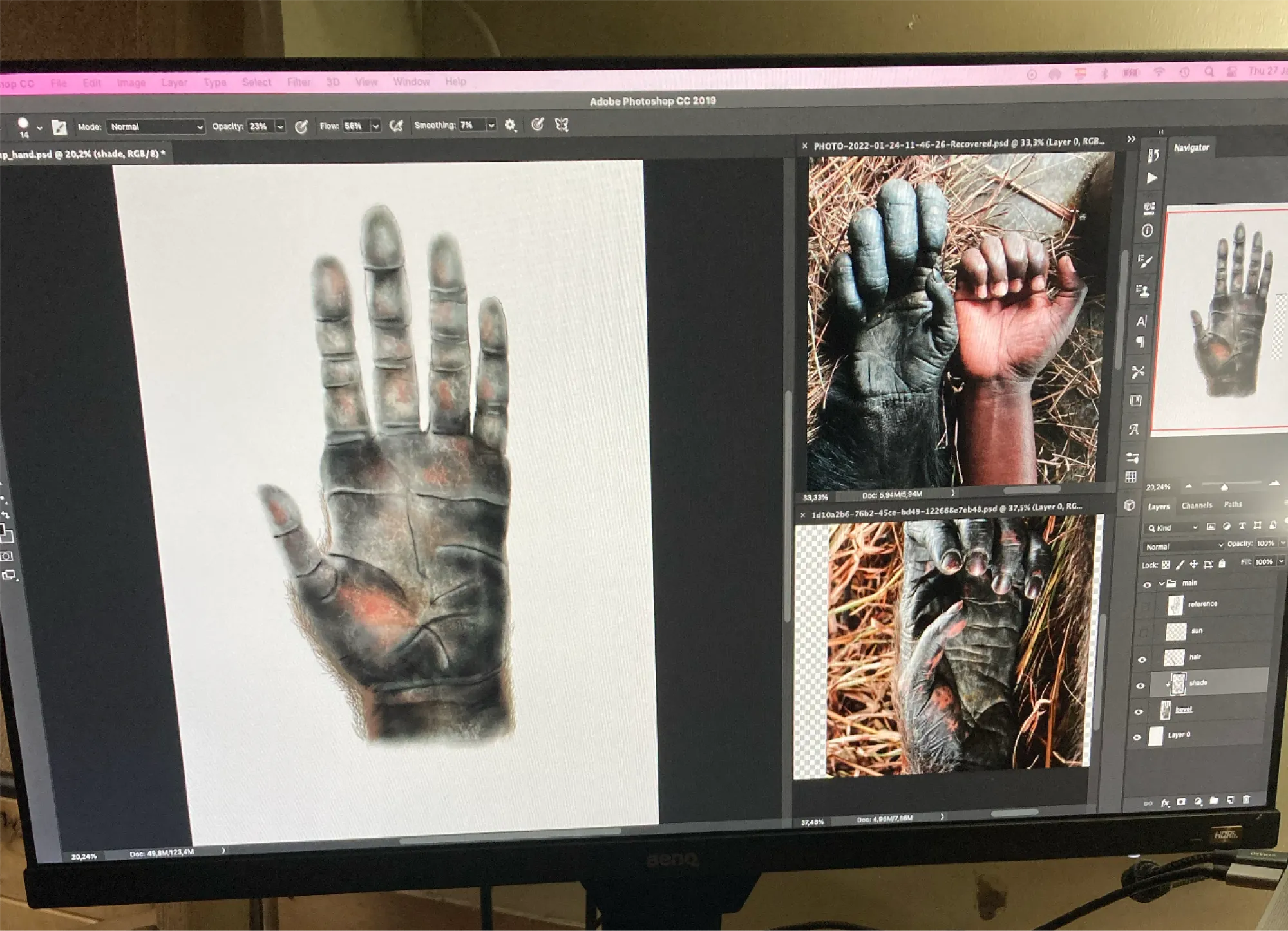 Digital painting of a chimpanzee hand in Adobe Photoshop, shown beside photographic references comparing chimpanzee and human hands.