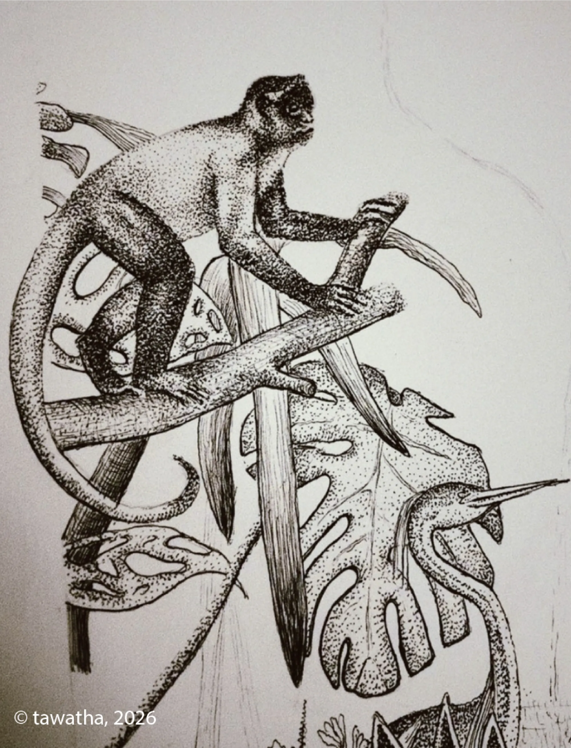 Black-and-white ink detail of a monkey standing on a tree branch among tropical leaves and vines.