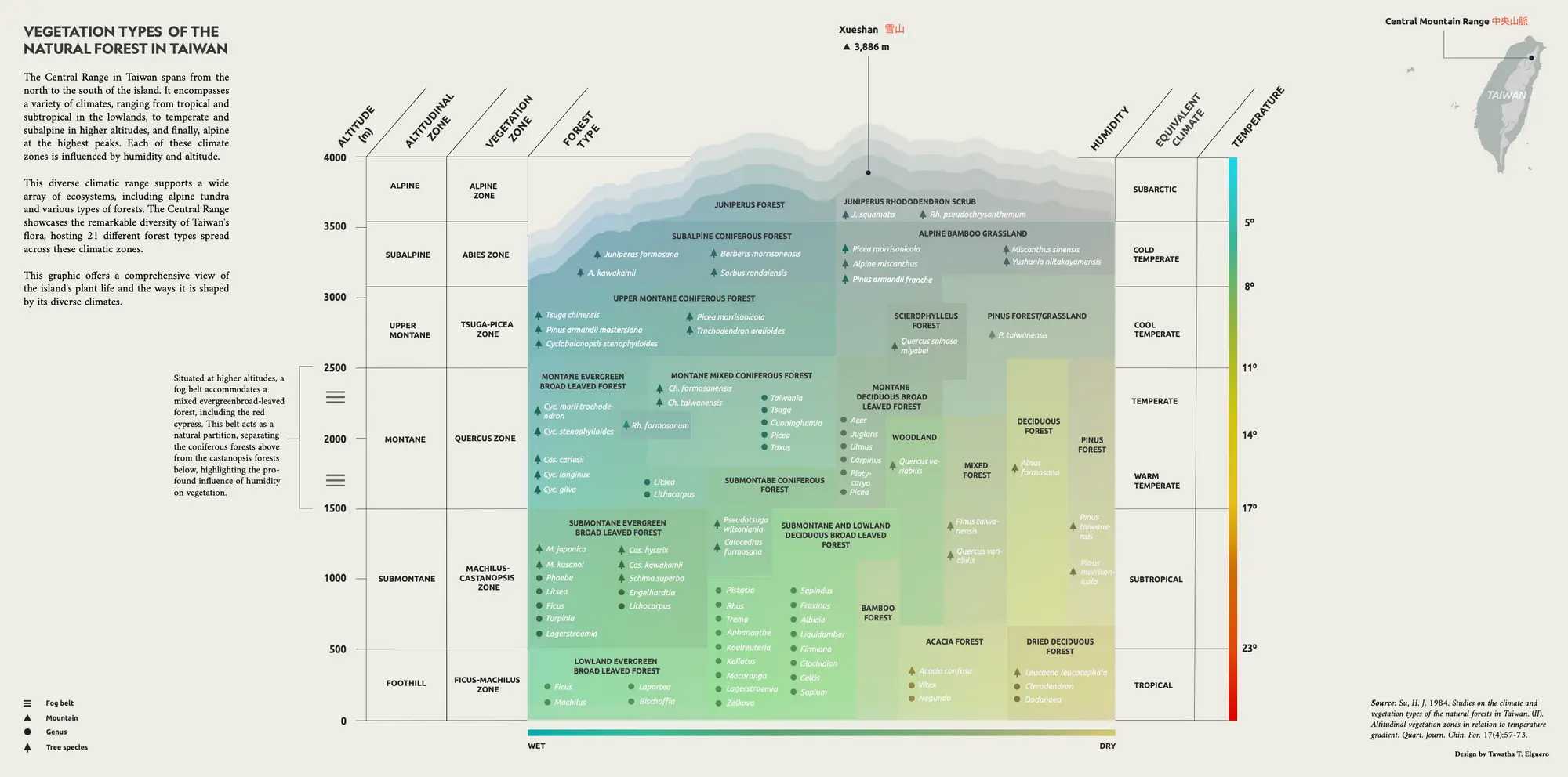 Vegetation types infographic. Tawatha T. Elguero