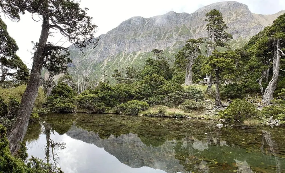 A gorgeous high-elevation alpine pond called Cuei Pond / 翠池, surrounded by Taiwan fir — Abies kawakamii&nbsp;and Taiwan alpine juniper. Lu Hsin. Tawatha T. Elguero