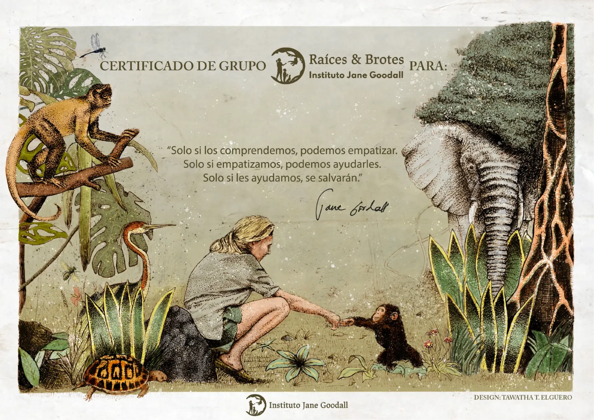 Certificate design for Jane Goodall’s Roots & Shoots featuring Jane Goodall, a young chimpanzee, tropical plants, a monkey, a turtle, and an elephant.