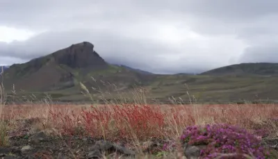 Þórsmörk photograph. Laugavegur trail. Tawatha T. Elguero.