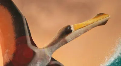 Ananguera piscator reconstruction digital rendering - Tawatha T. Elguero