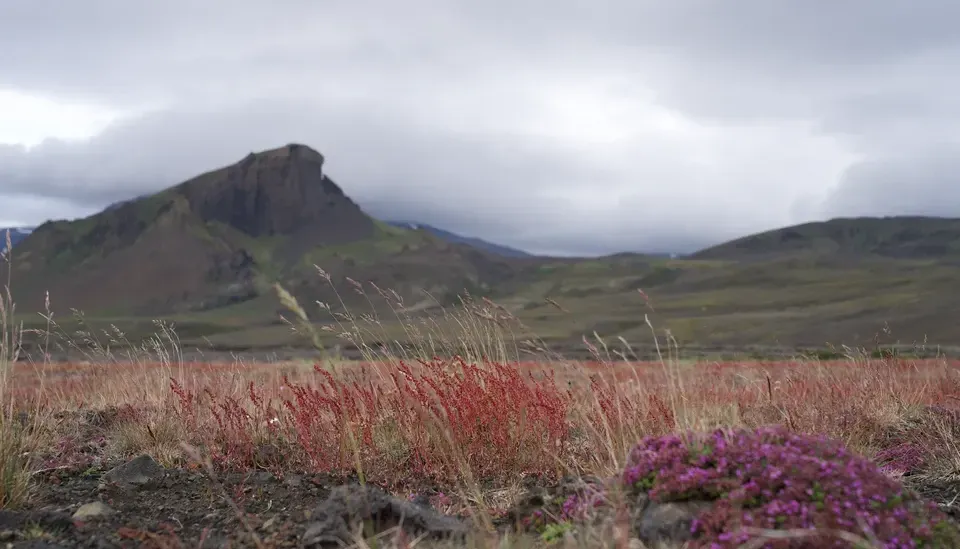 Þórsmörk photograph. Laugavegur trail. Tawatha T. Elguero.