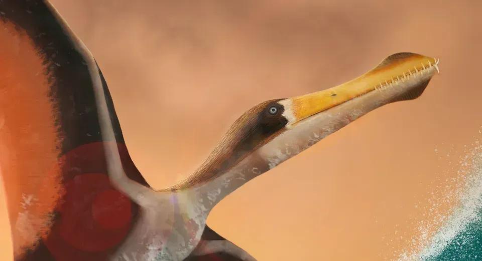 Ananguera piscator reconstruction digital rendering - Tawatha T. Elguero