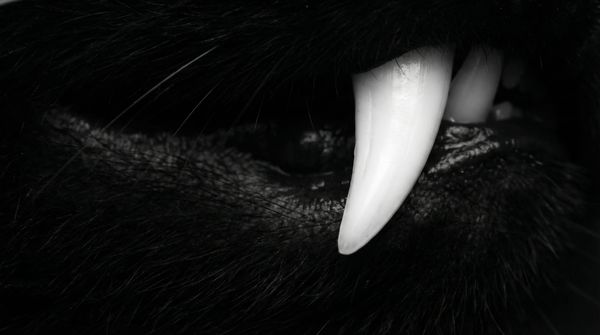 파는 사람의 뇌는 고장나 있다