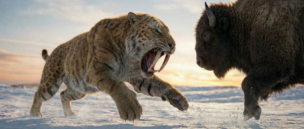 왜 당신의 광고는 소음이 되는가