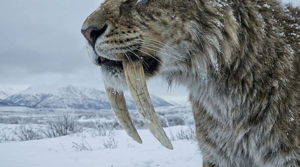 충성도는 거짓말이다