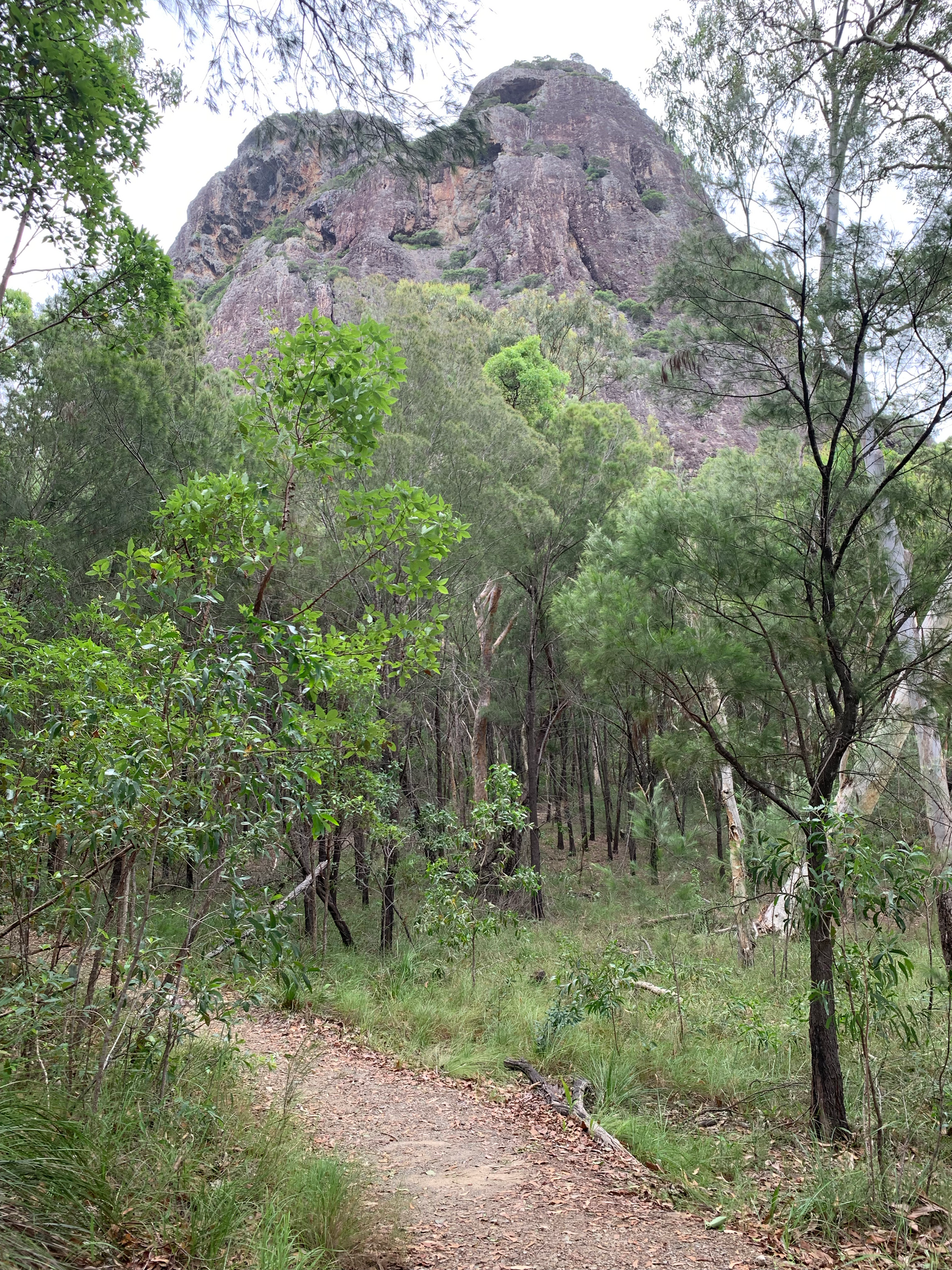 Mount Tibrogargan