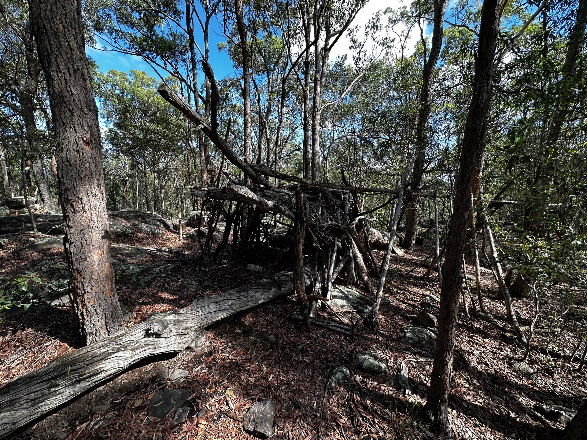 Toohey Forest Park