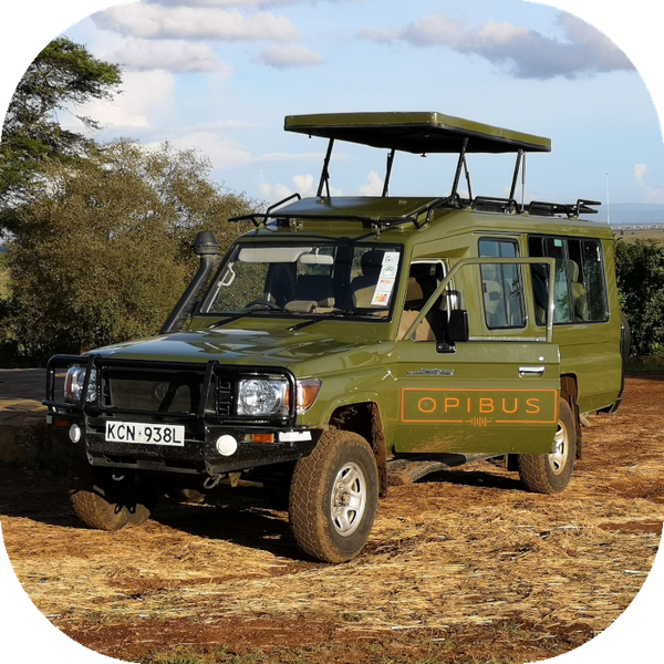 Electric conversion in Kenya