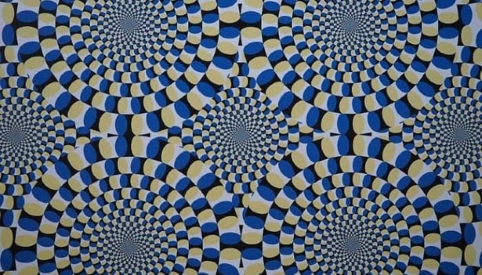 Your Brain Lies to You Each Day