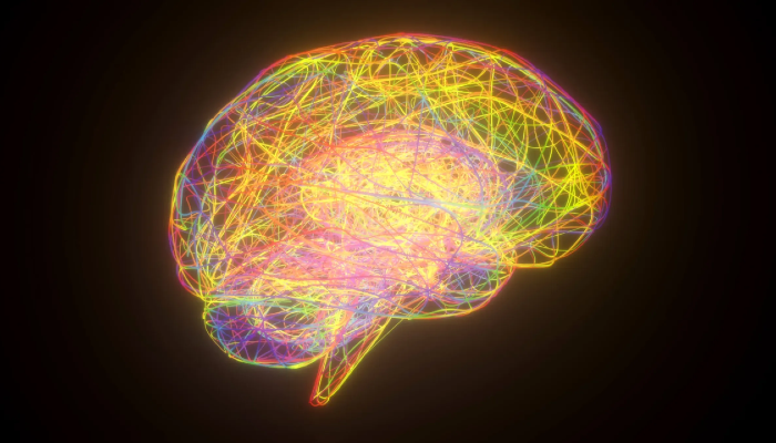 sketch of brain showing brain activity, abstract