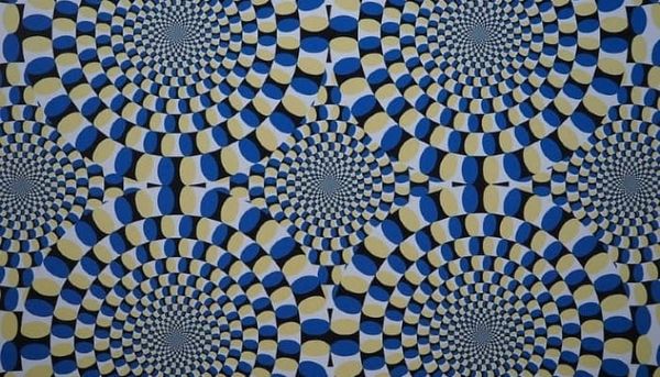 Your Brain Lies to You Each Day