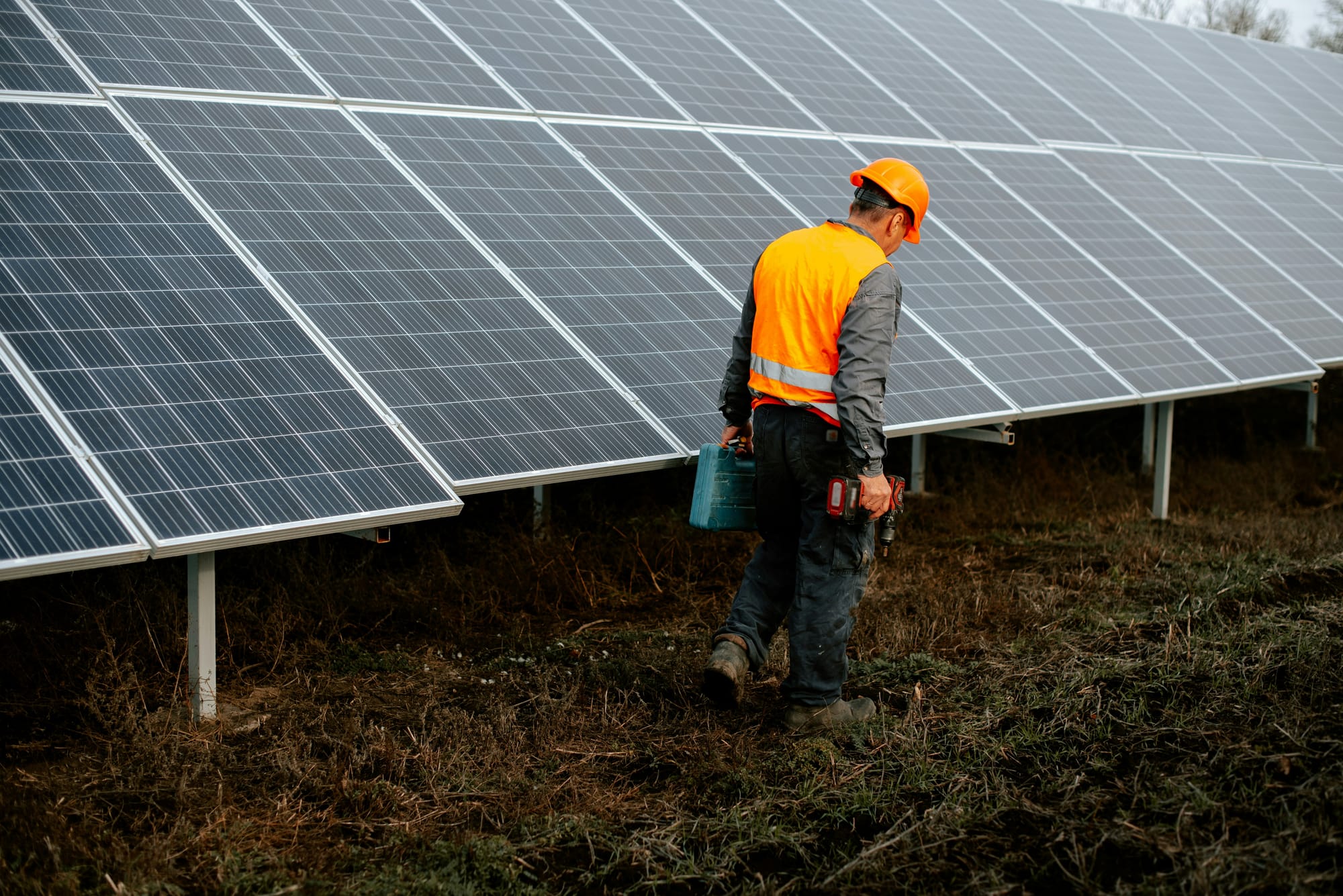 Renewable energy professions are expected to soar in 2026.