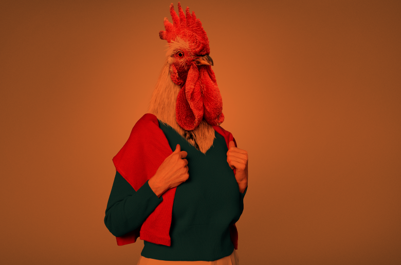 Person wearing a rooster mask on their head.