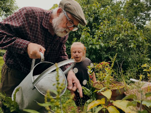 An older man and a boy tend plants together in a garden. Representative image.