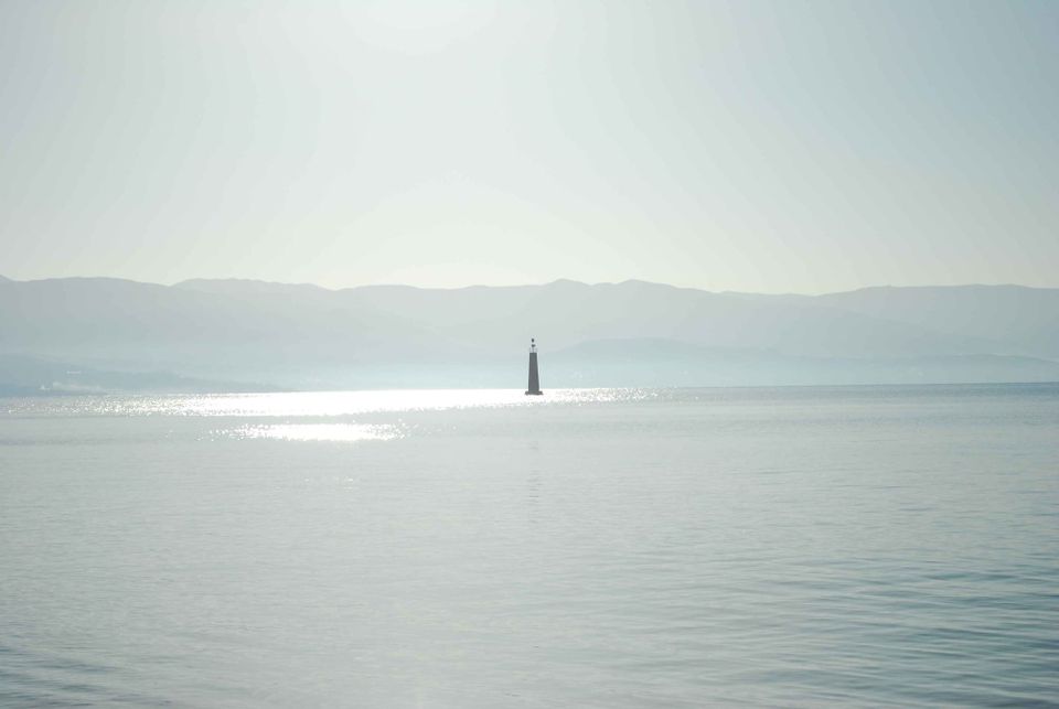 Year 2024-25: the year gone by