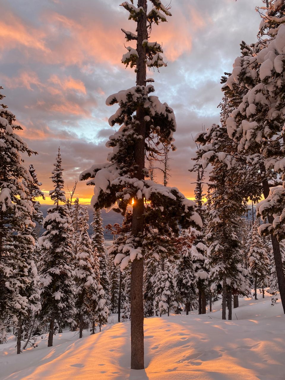 Sunrise at the cabin.  J. Nogaj photo.