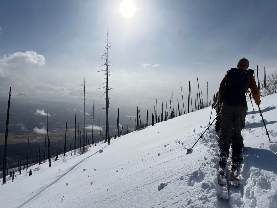 Ward Mountain BC Ski - February 15, 2026