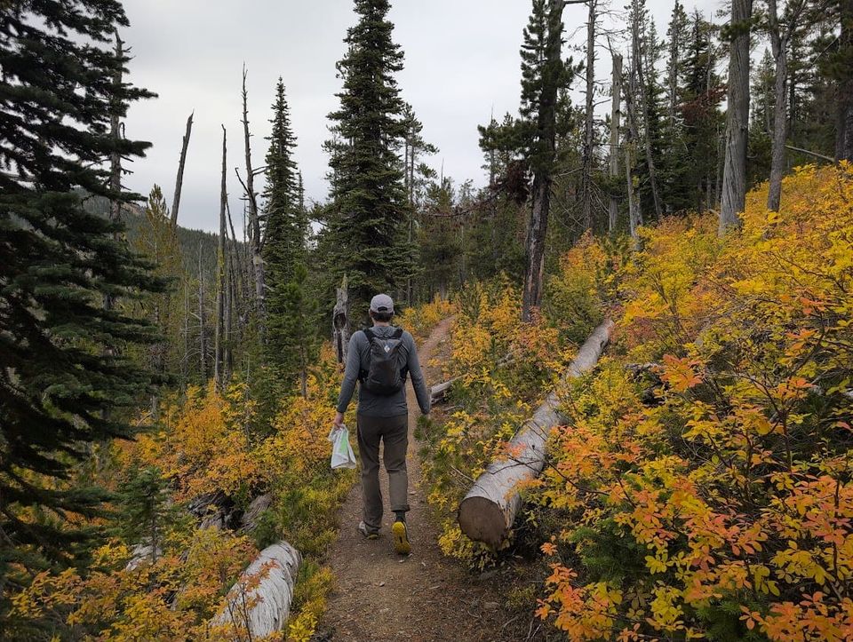 Mosquito Peak (Rattlesnake Wilderness)-September 19, 2026