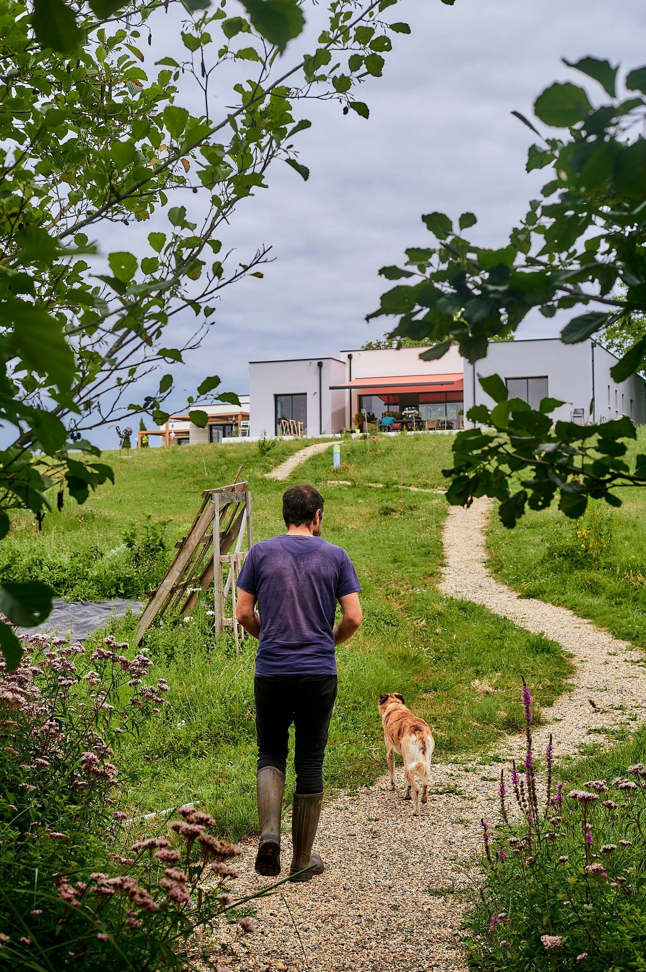 Le manifeste de graine de séquoia