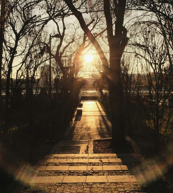 L’effet majeur : pourquoi les leaders efficaces concentrent leur action là où cela compte vraiment