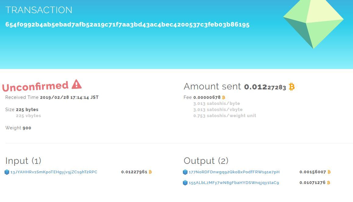 Bitcoin transaction details