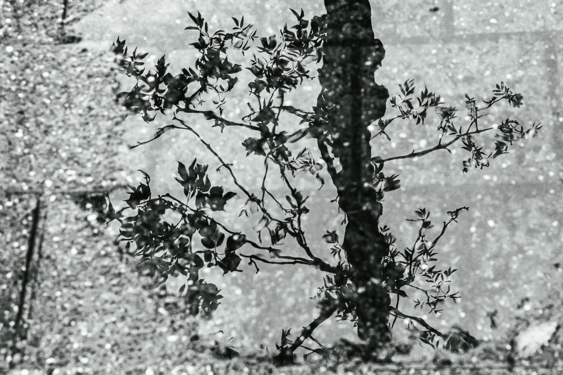 Miroir, eau miroir