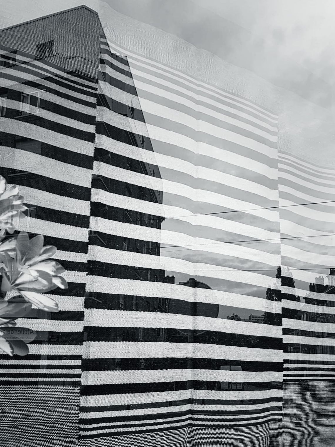 Lines