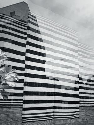 Lines