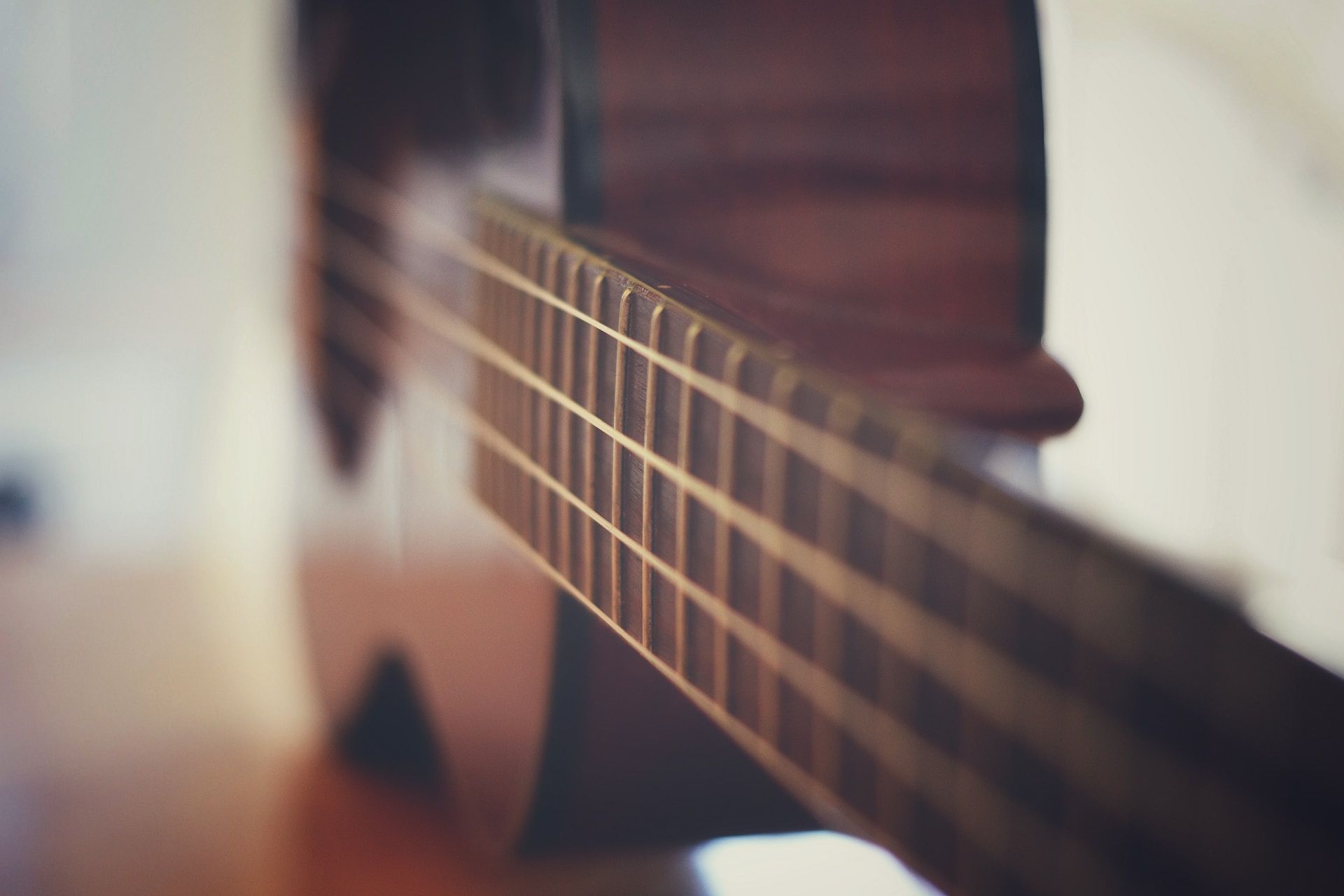 Close-up of ukulele
