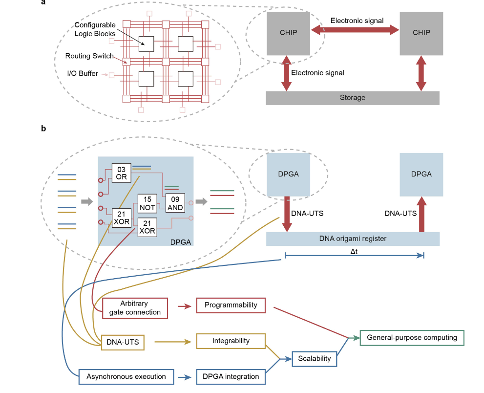 DNA computing china