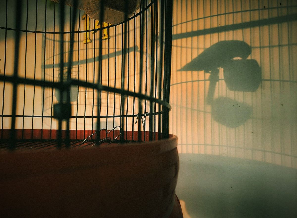 Censorship by hallucination? US educators are using AI to find and ban books with sex in them