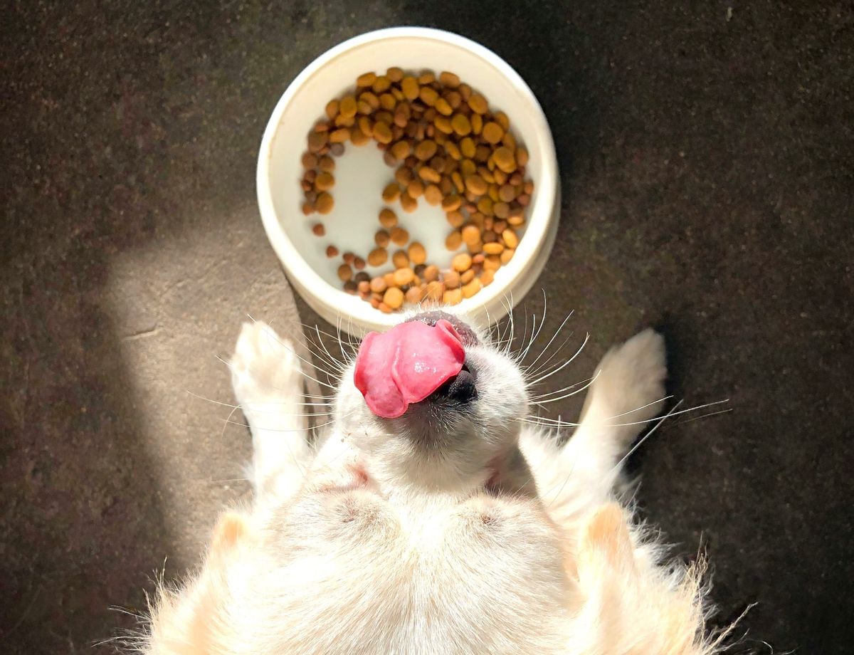 Amazon’s “Rufus” shows it eating its own AI dogfood, as AWS closes in on $100B run rate; Q comes to Glue