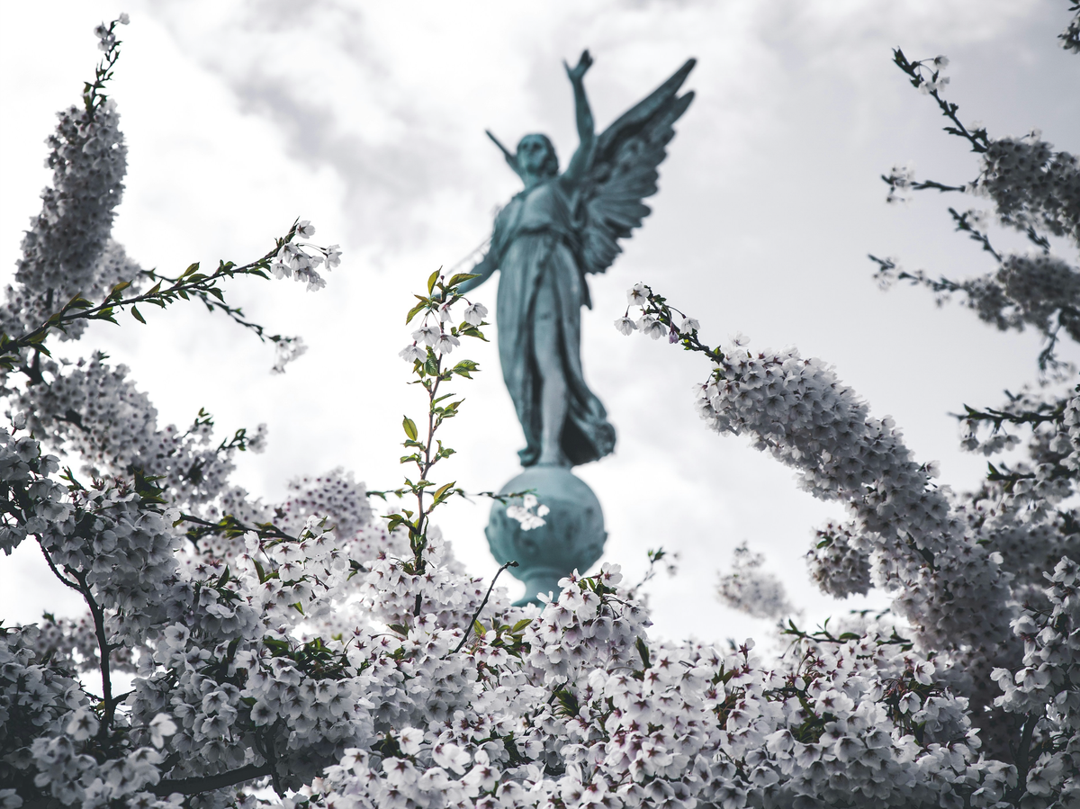 Dark Angels extort world's largest-ever ransomware payment