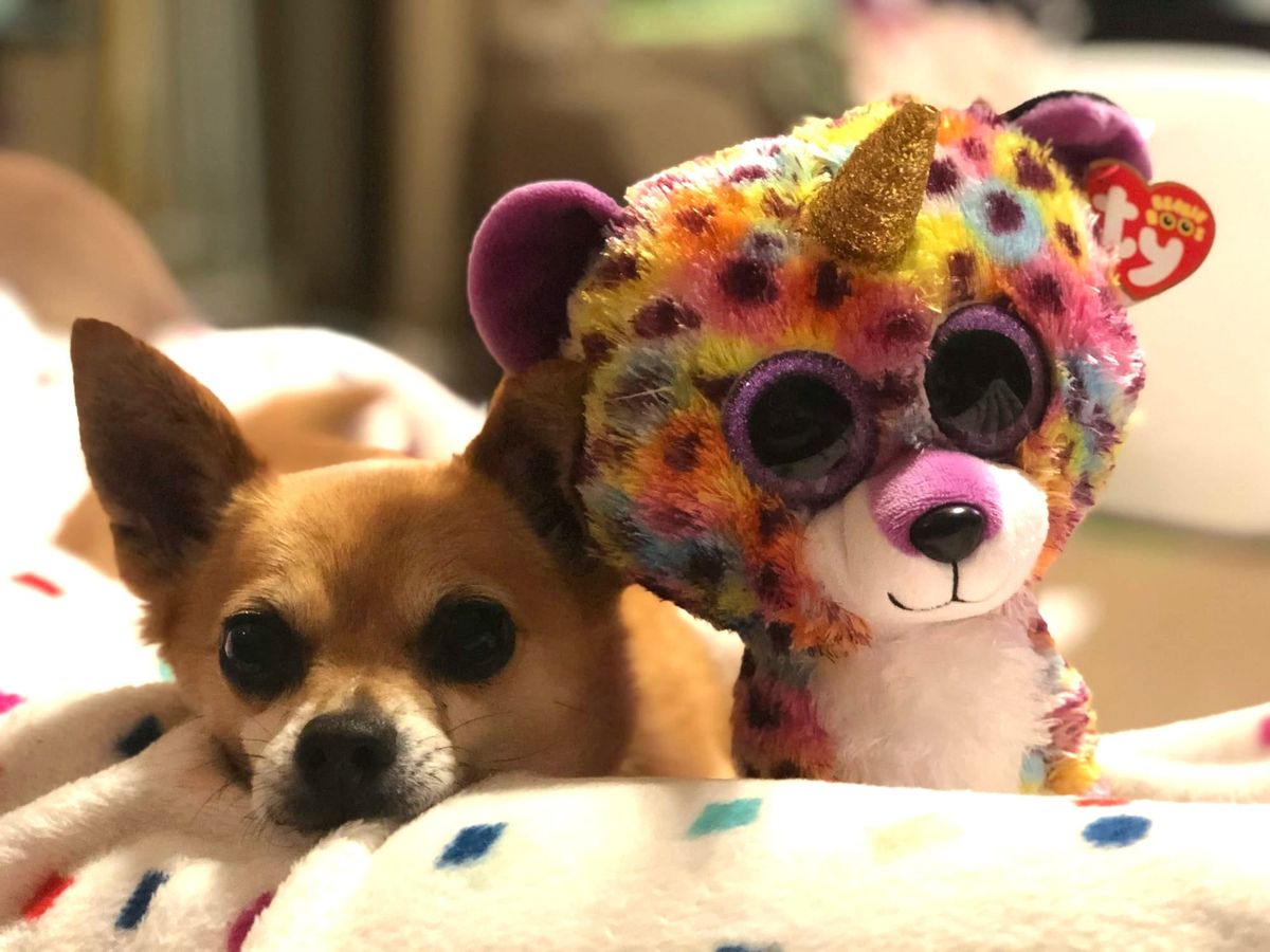 Deloitte used govt client's own GPT to invent references