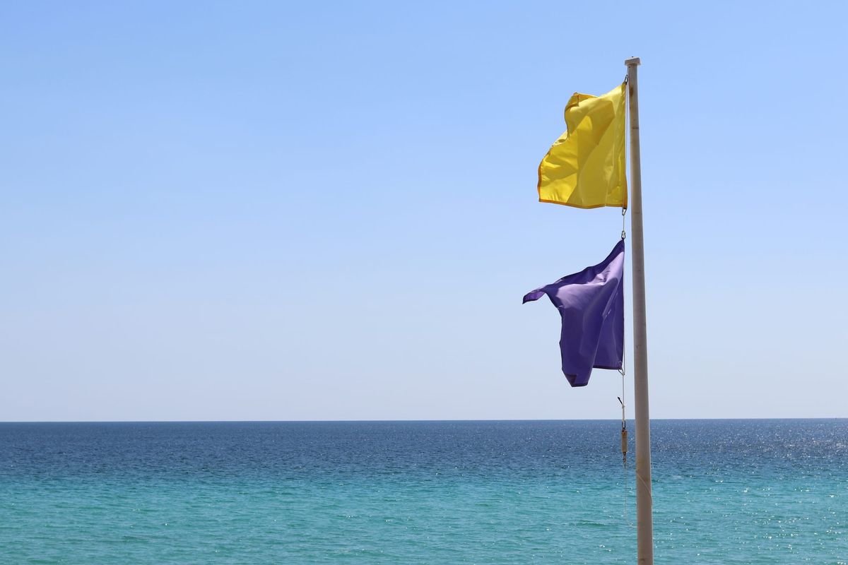 Python Foundation "raising the flag" on dwindling funds