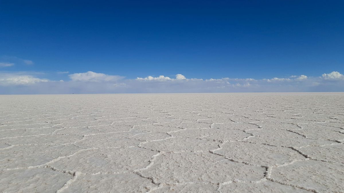 AI adoption is now flat across US businesses, index finds