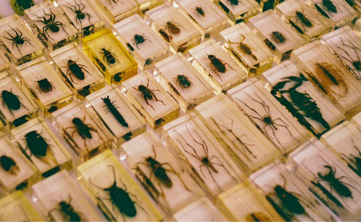 Patch Tuesday: Microsoft pushes fixes for SIX zero days – MSHTML under attack again