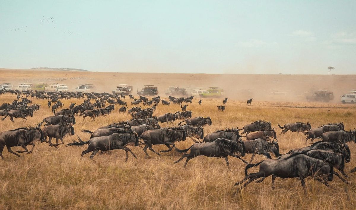 How PayPal migrated 400PB in the "largest data migration" in history