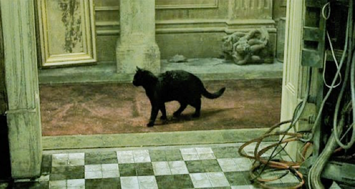 Fortinet's endpoint management software is being exploited in the wild