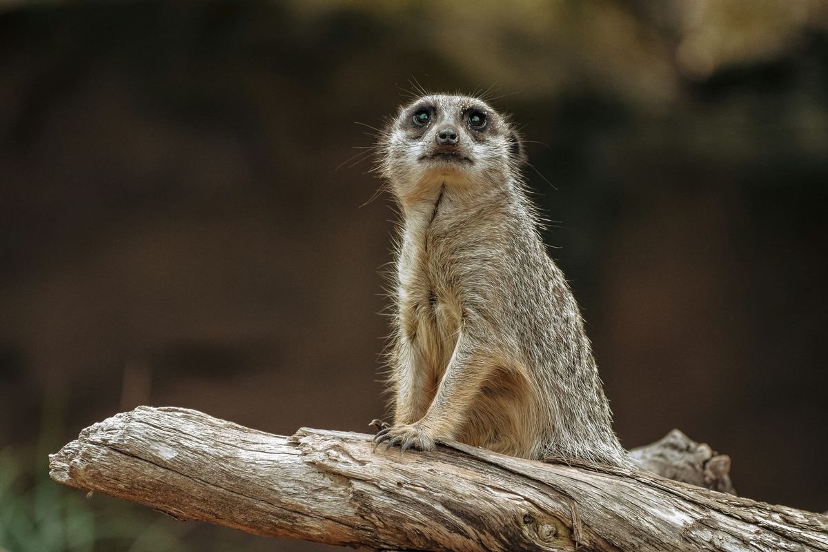 STACKUP: The Stack's weekly tech startups and funding wrap