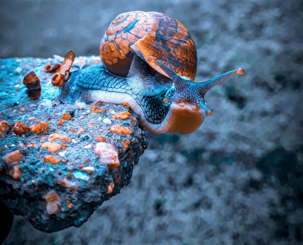 EU reveals plans for Joint Cyber Unit, Rapid Reaction teams - very, very slowly.