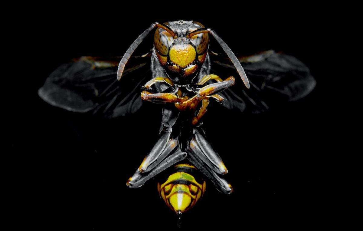 The new OWASP Top 10: What CISOs should know about the updates